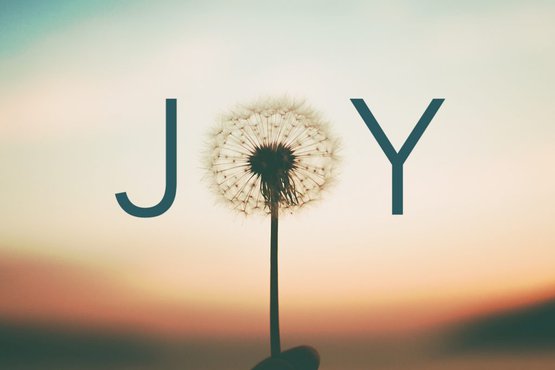 Feel Joy